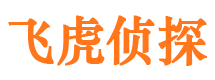 延川侦探